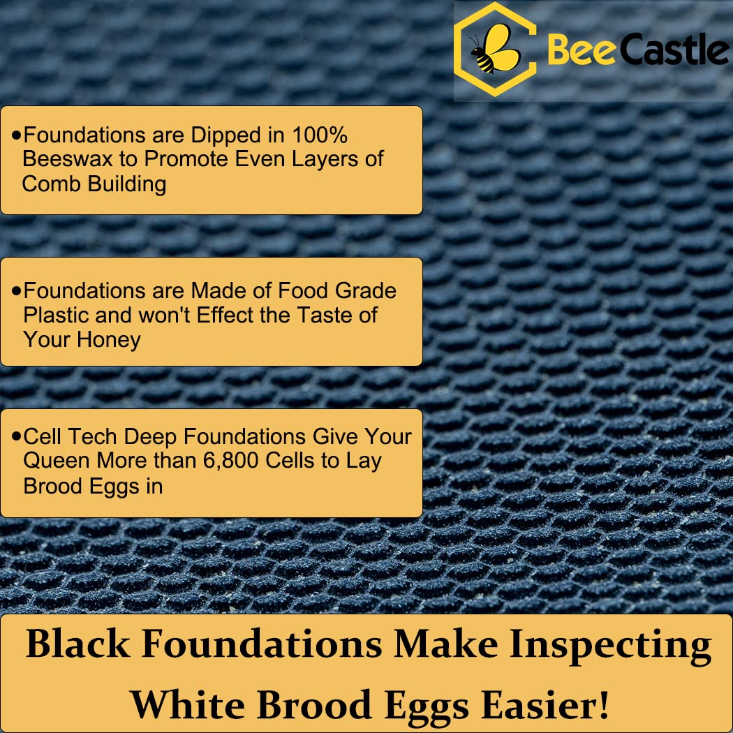 BeeCastle 10 Frame Langstroth Bee Hive Coated
