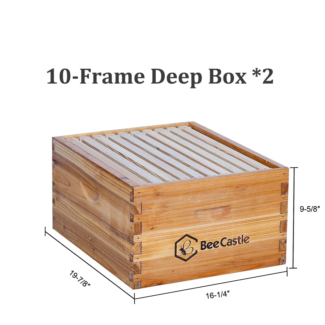 BeeCastle 10 Frame Langstroth Bee Hive Coated